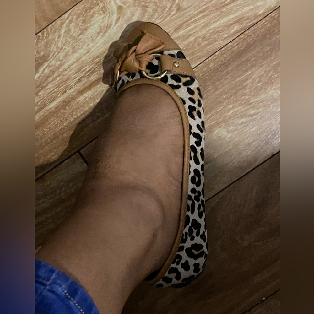 Sperry top sider shoes , size 8 leopard prints .